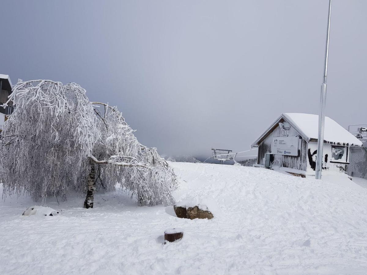 Apartmán Peak 105 Mount Buller Exteriér fotografie